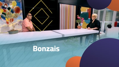 Bonzais