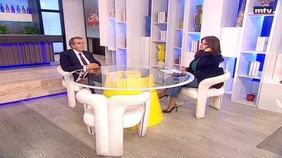 Lawyer Michel Eid - Protection of media professionals in international law