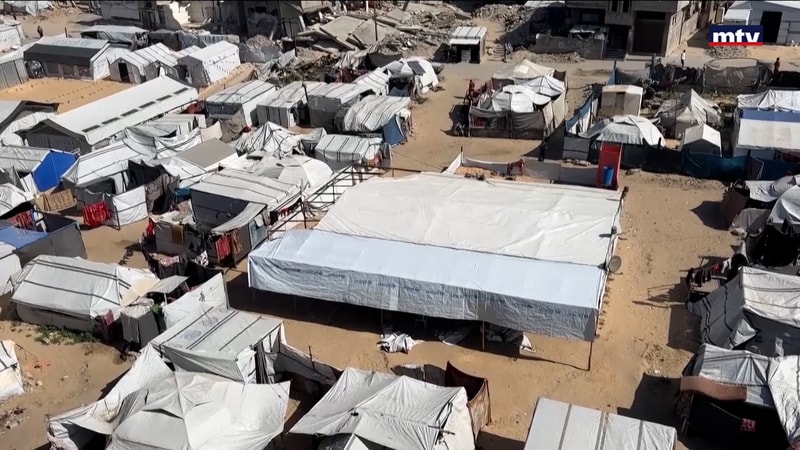 النشرة الكاملة