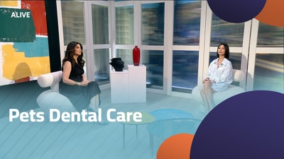 Pets Dental Care