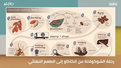 The Chocolate Journey from Cocoa to Final Flavor
