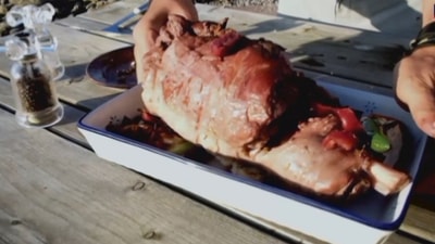 Wild Cooking