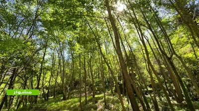 28 Aug 2021 - A Trip To Foutouh Keserwan - Part 6