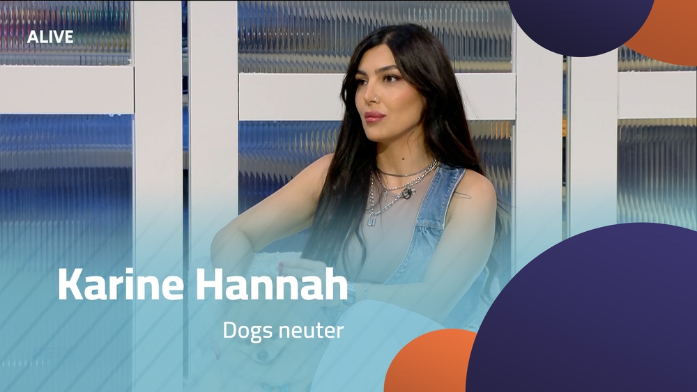 Carine Hanna - Dogs neuter