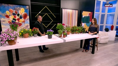 Flowering plants