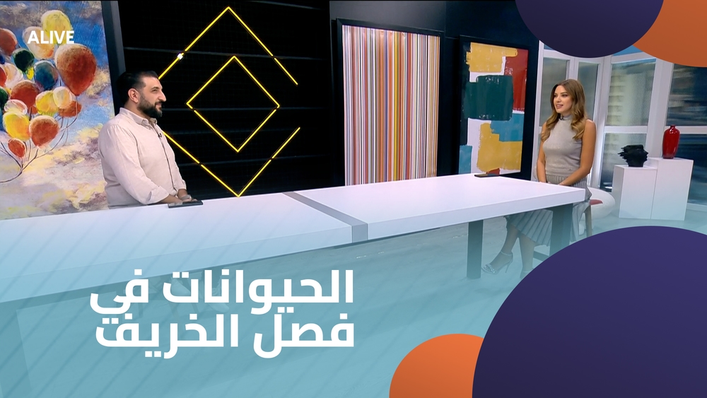 الحيوانات في فصل الخريف