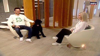 Charbel Ballan - Giant Schnauzer