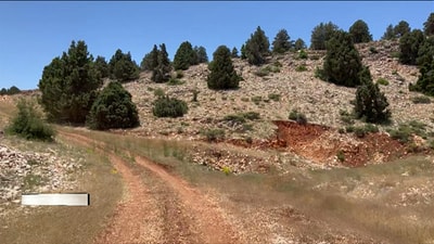 A Trip to Barkah - Part 4