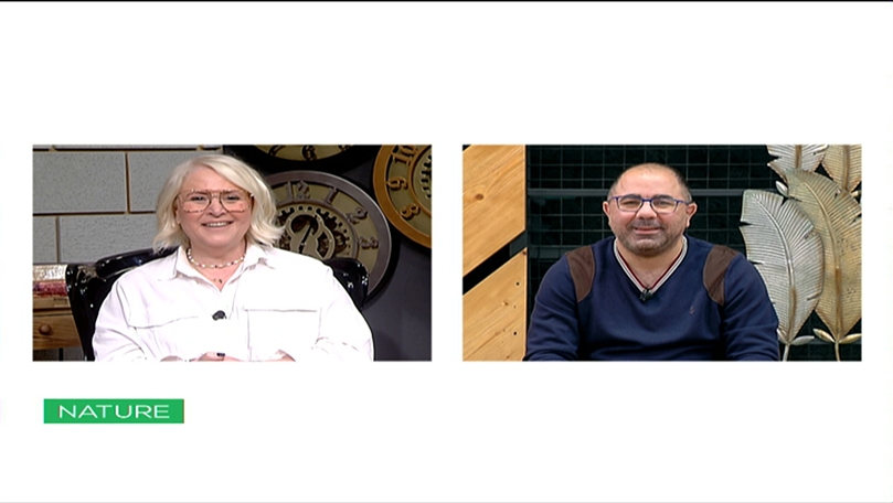 Viewers Questions