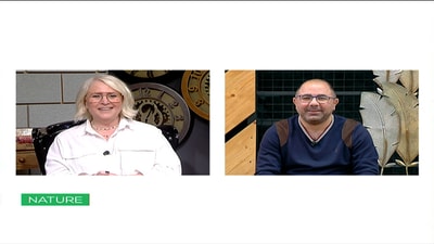 Viewers Questions