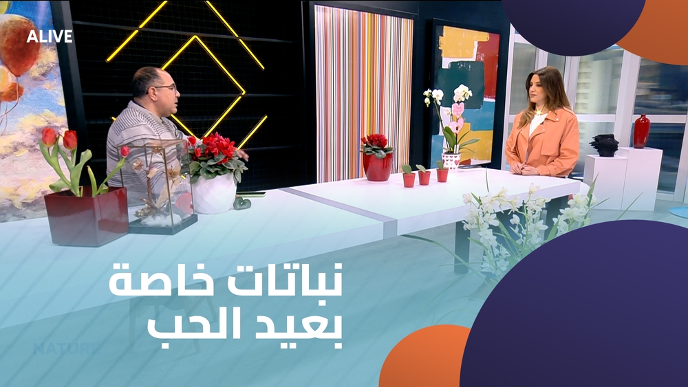 نباتات خاصة بعيد الحب