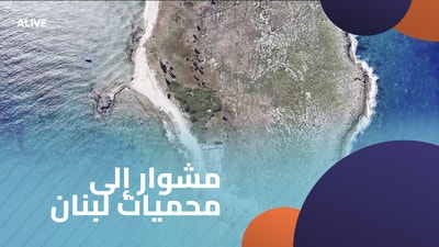 A trip to Lebanon's nature reserves - Part 2