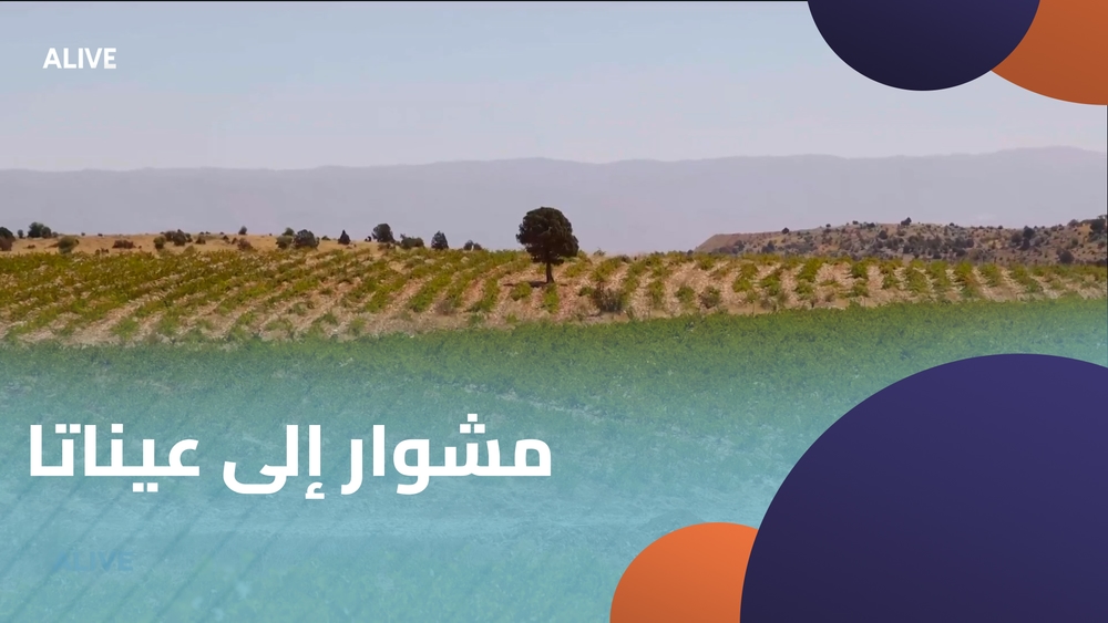 مشوار إلى عيناتا