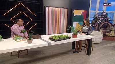 Viewers Questions