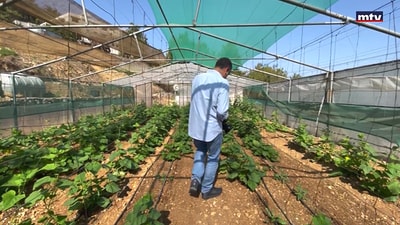 Trip to Demit El Chouf - Part 2