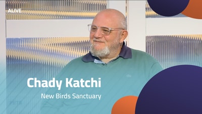 Chady Katchi - New Birds Sanctuary
