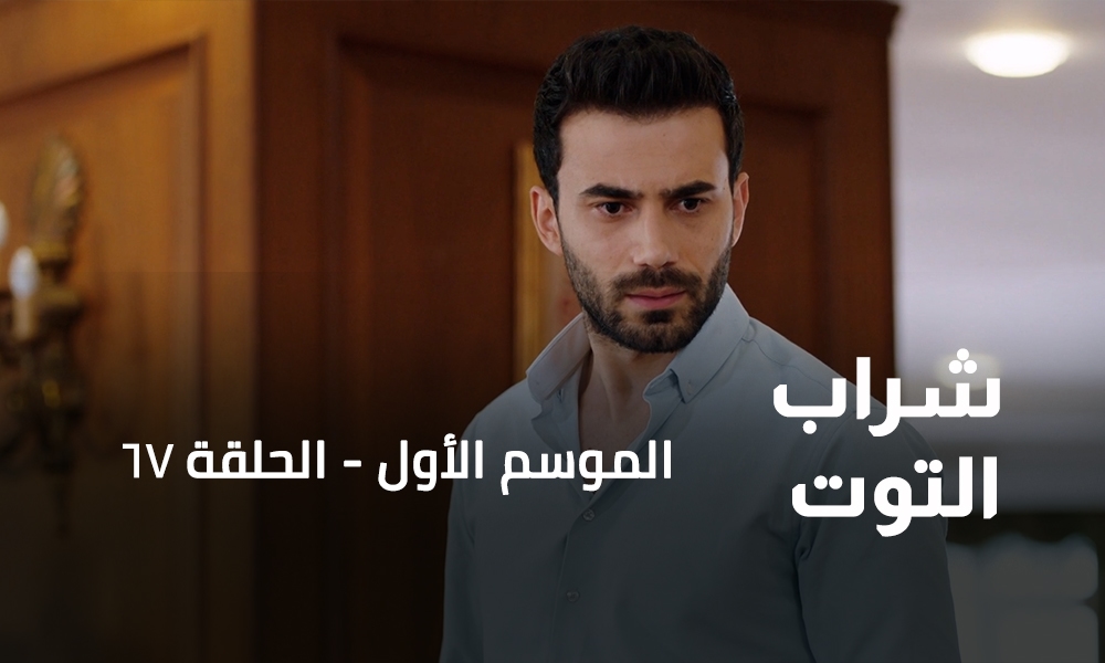 الحلقة 67