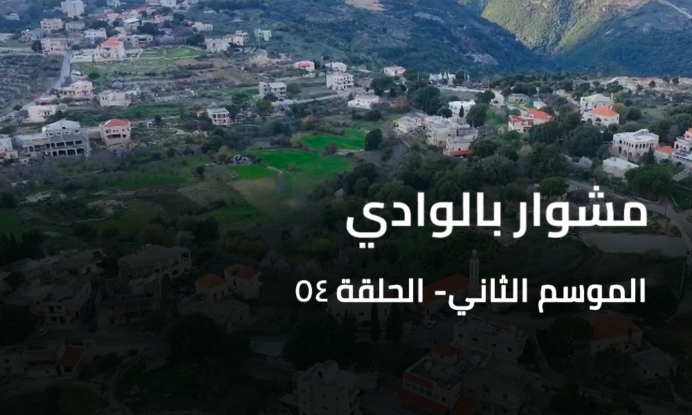 A Trip to the valley - Habil