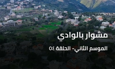 مشوار بالوادي - هابيل