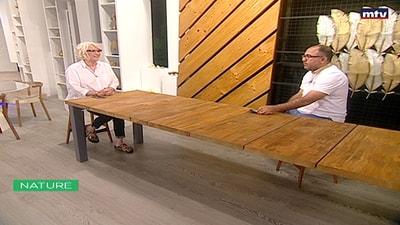 Viewers Questions