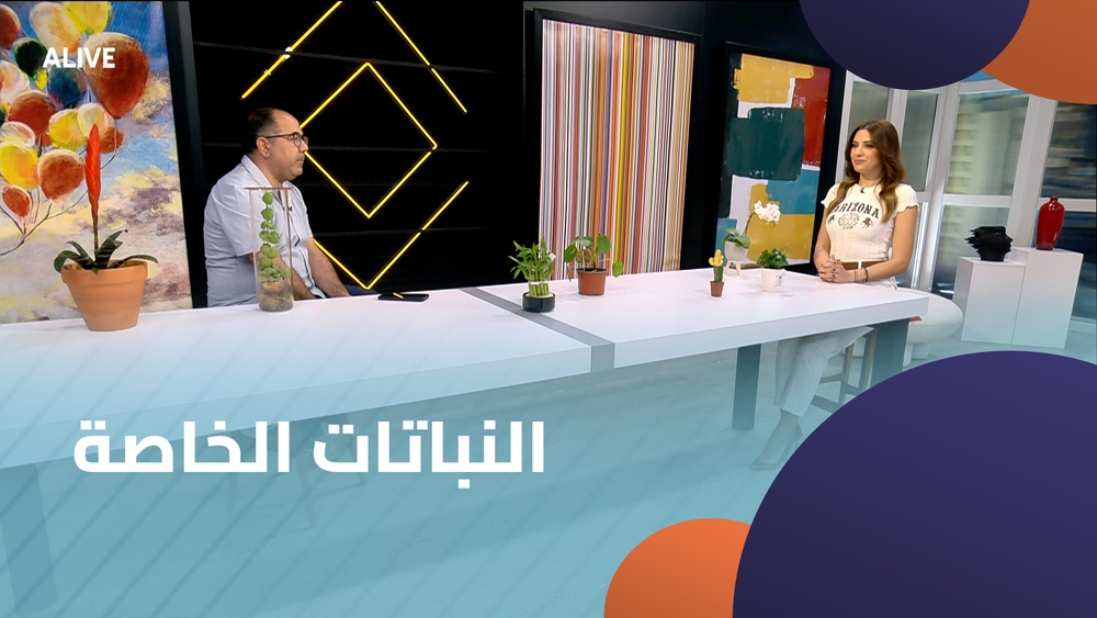 النباتات الخاصة