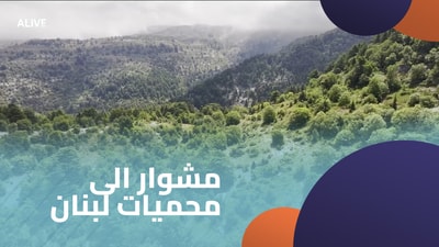 A trip to Lebanon's nature reserves - Part 3