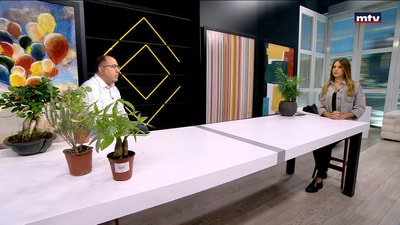 Viewers Questions