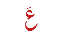 شي ع MTV