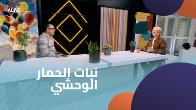 نبات الحمار الوحشي