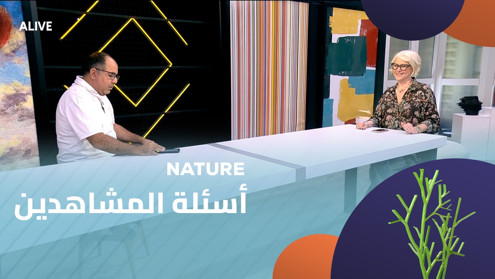 أسئلة المشاهدين