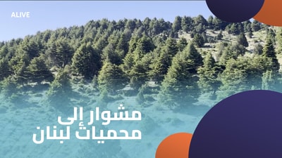 A trip to Lebanon's nature reserves