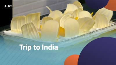 Trip to India