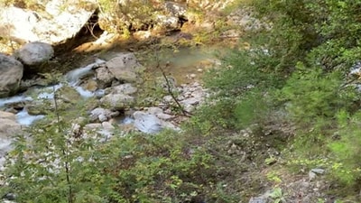 04 Sep 2021 - A Trip To Nahr Ibrahim - Part 1