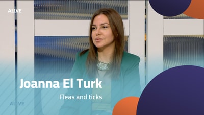 Joanna El Turk - Fleas and ticks