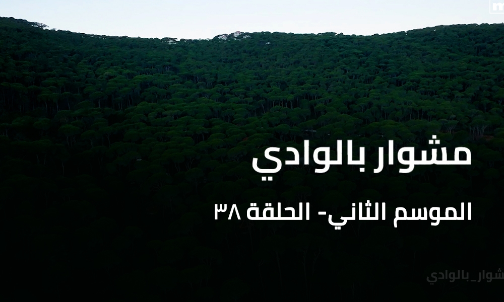 A Trip to the Valley - Bkassine