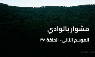 A Trip to the Valley - Bkassine