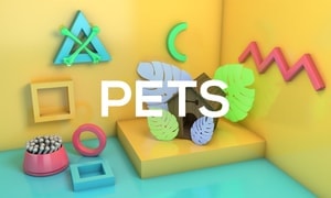 Pets