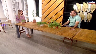 Viewers Questions