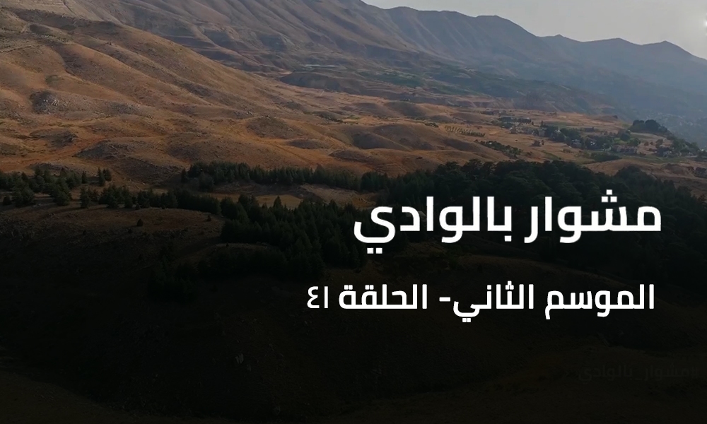 A Trip to the Valley - Bcharre