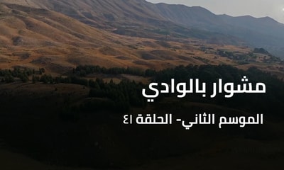 A Trip to the Valley - Bcharre