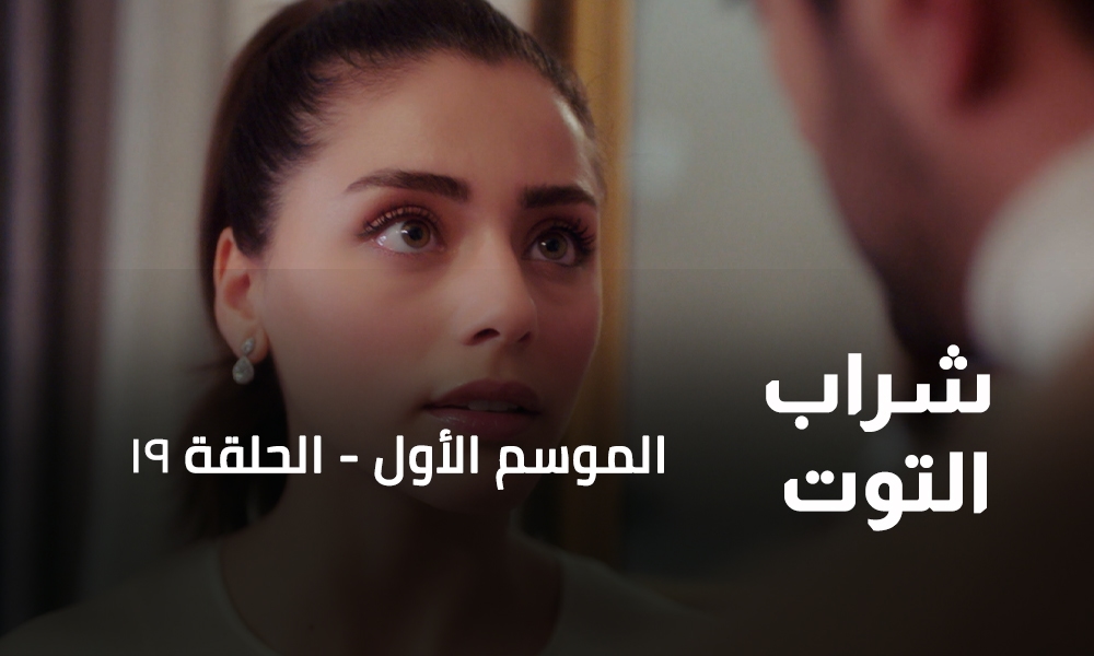 الحلقة 19