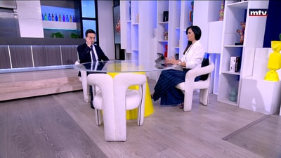 Ziad Chebib - Is there political asylum in Lebanese law?
