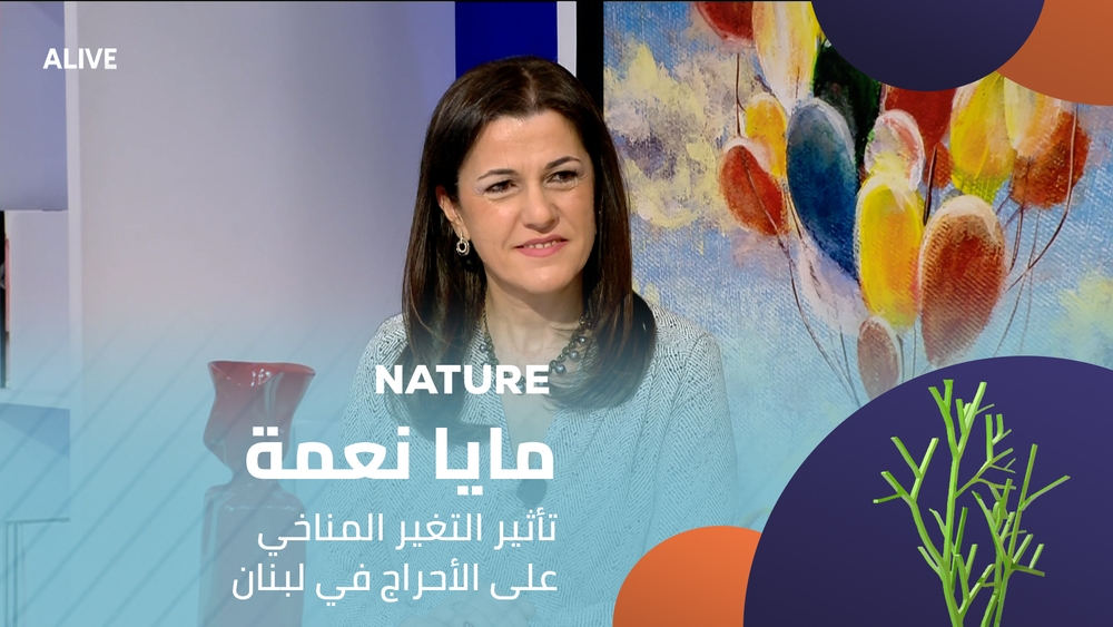 Maya Nehme - The impact of climate change on forests in Lebanon