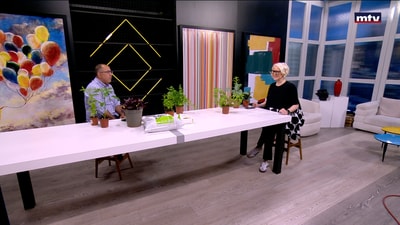 Potager