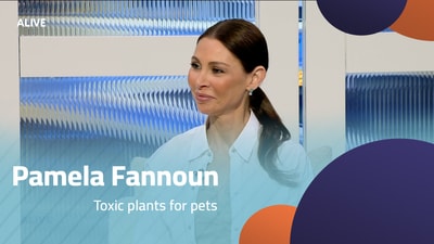 Pamela Fannoun - Toxic plants for pets