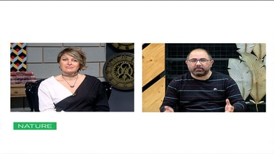 Viewers Questions