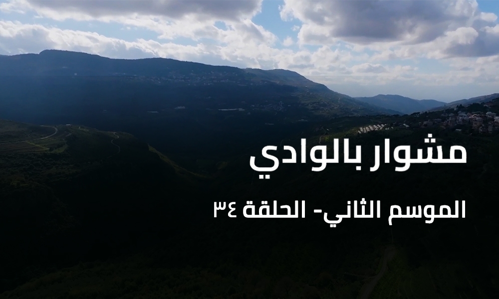 A Trip to the Valley - Rechmaya