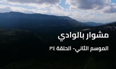 A Trip to the Valley - Rechmaya