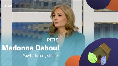 Madonna Daaboul - Pawfurful dog shelter