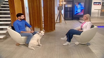 Amir Abou Said - Akita Breed